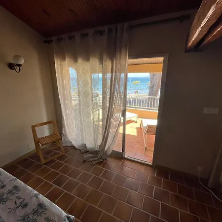 Au Bord De A Les Palmiers Villa