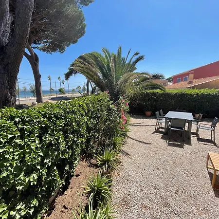 Villa Au Bord De A Les Palmiers *
