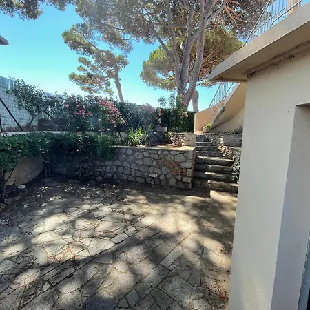 Villa Au Bord De A Les Palmiers